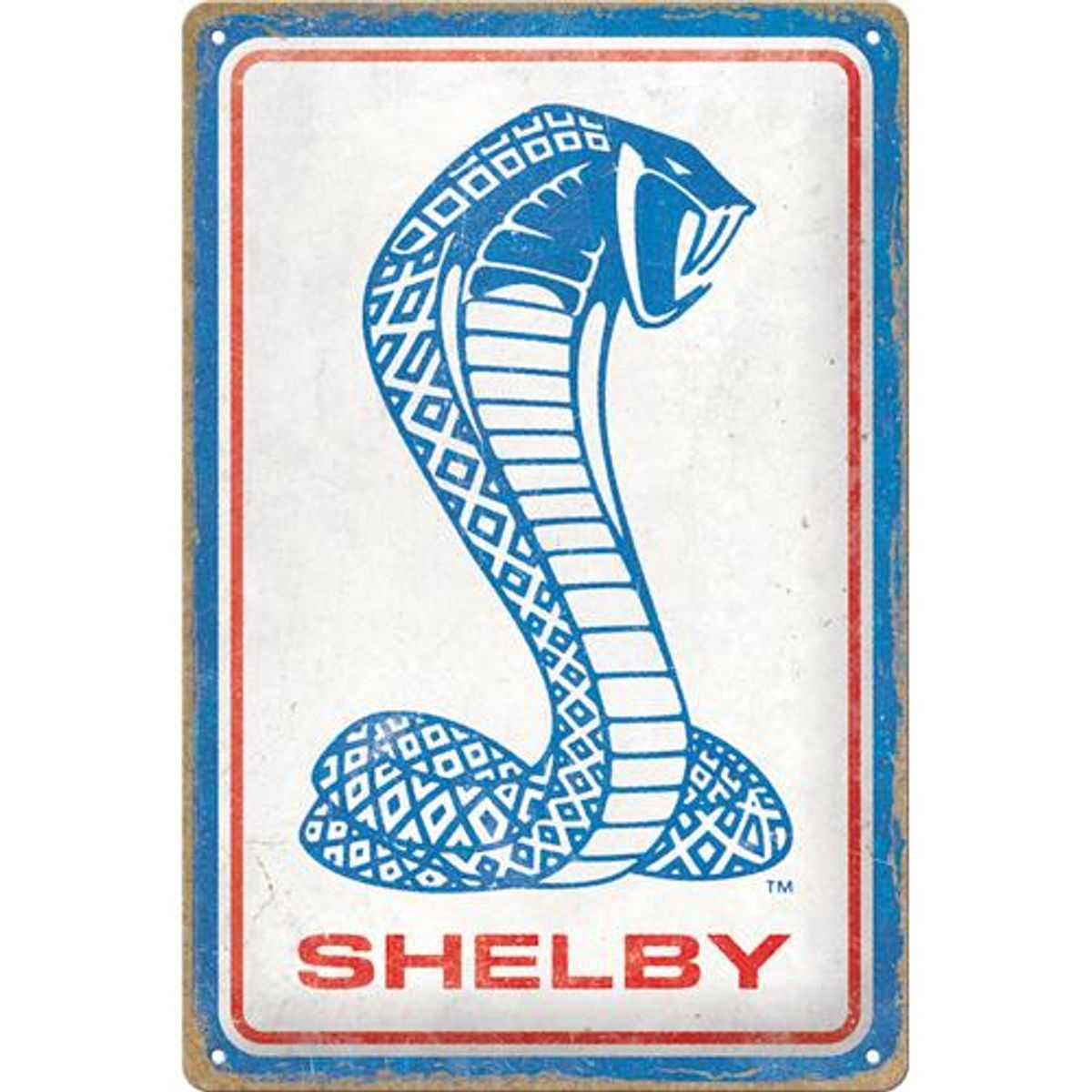 Shelby - Cobra Snake